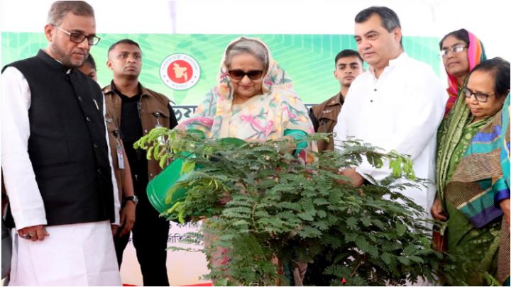 প্রধানমন্ত্রী সবাইকে তিনটি করে গাছ লাগানোর আহ্বান জানালেন